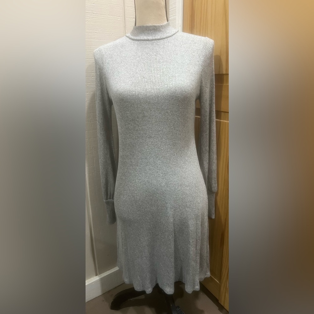 Express Sweater Dress